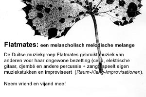 Flatmates poster